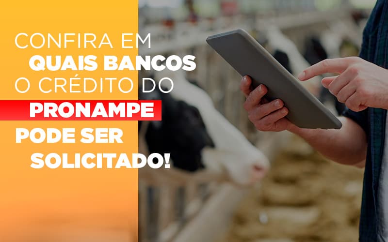 Confira Em Quais Bancos O Crédito Do Pronampe Já Pode Ser Solicitado! - Contabilidade em São Bernardo do Campo - SP