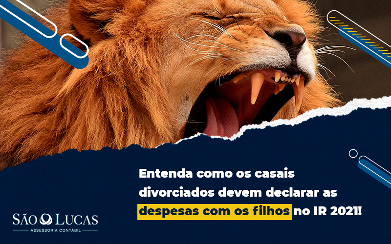 Entenda Como Os Casais Divorciados Devem Declarar As Despesas Com Os Filhos No Ir 2021! - Contabilidade em São Bernardo do Campo - SP