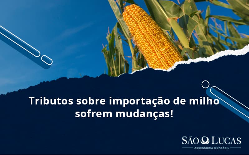 Tributos Sobre Importação De Milho Sofrem Mudanças! - Contabilidade em São Bernardo do Campo - SP