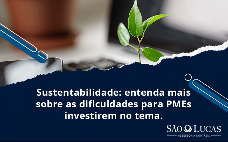 Sustentabilidade: Entenda Mais Sobre As Dificuldades Para Pmes Investirem No Tema - Contabilidade em São Bernardo do Campo - SP